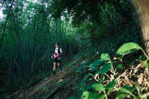 BIB: 
                            <button type="button" onclick="openModal(28124606)" class="btn btn-primary btn-sm float-right btn-popup" data-toggle="modal" data-target=".modal-high-quality">
                        <i class="fas fa-shopping-cart"></i> Add to Cart
                    </button>
                                            <button type="button" onclick="isThisMe(28124606, true)" class="btn btn-success btn-sm float-right btn-popup btn-isme hidden" data-toggle="tooltip" data-placement="bottom" title="นี่คือรูปของคุณใช่ไหม คลิกที่นี่เพื่อเอาเข้าอัลบั้ม">
                        <i class="fas fa-plus"></i> Add to album
                    </button>
                    <button type="button" onclick="isThisMe(28124606, false)" class="btn btn-warning btn-sm float-right btn-popup btn-isnotme hidden">
                        <i class="fas fa-ban"></i> Remove from album
                    </button>